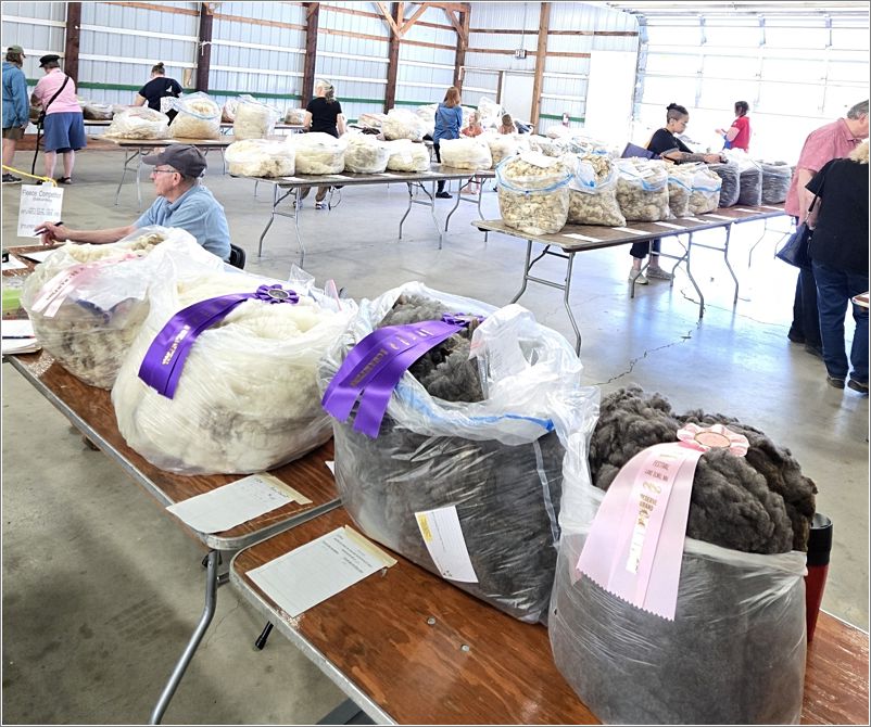 Shepherds Harvest fleece show. Photo: Letty Klein.